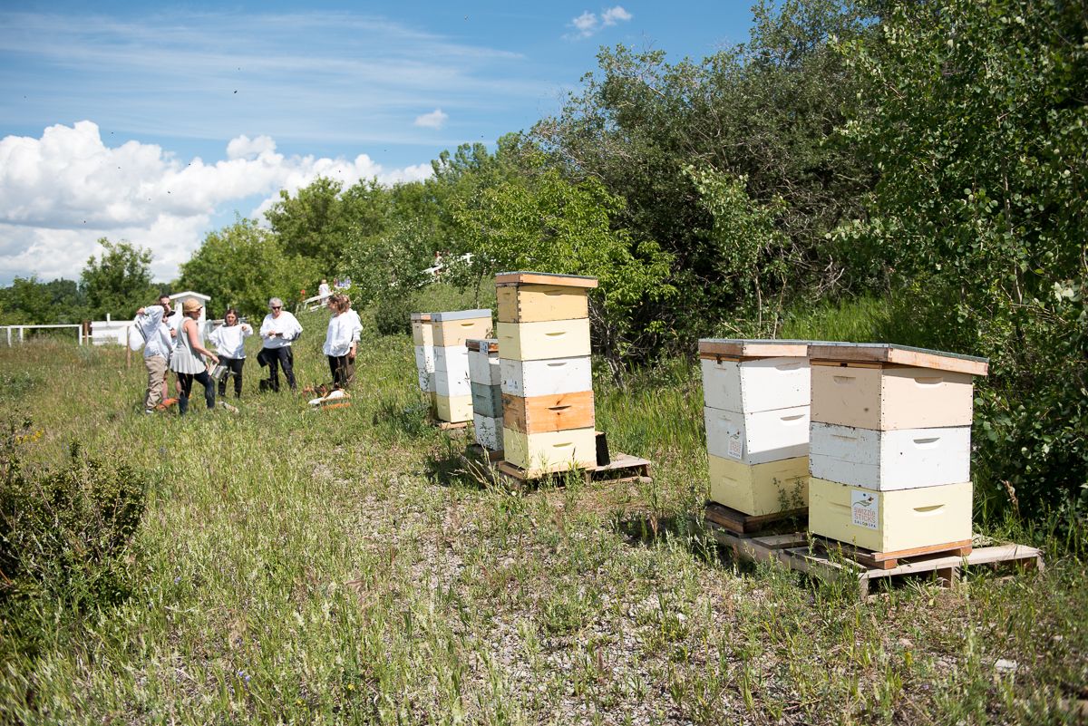 ABC Bee Hive Workshop at Heritage Park 