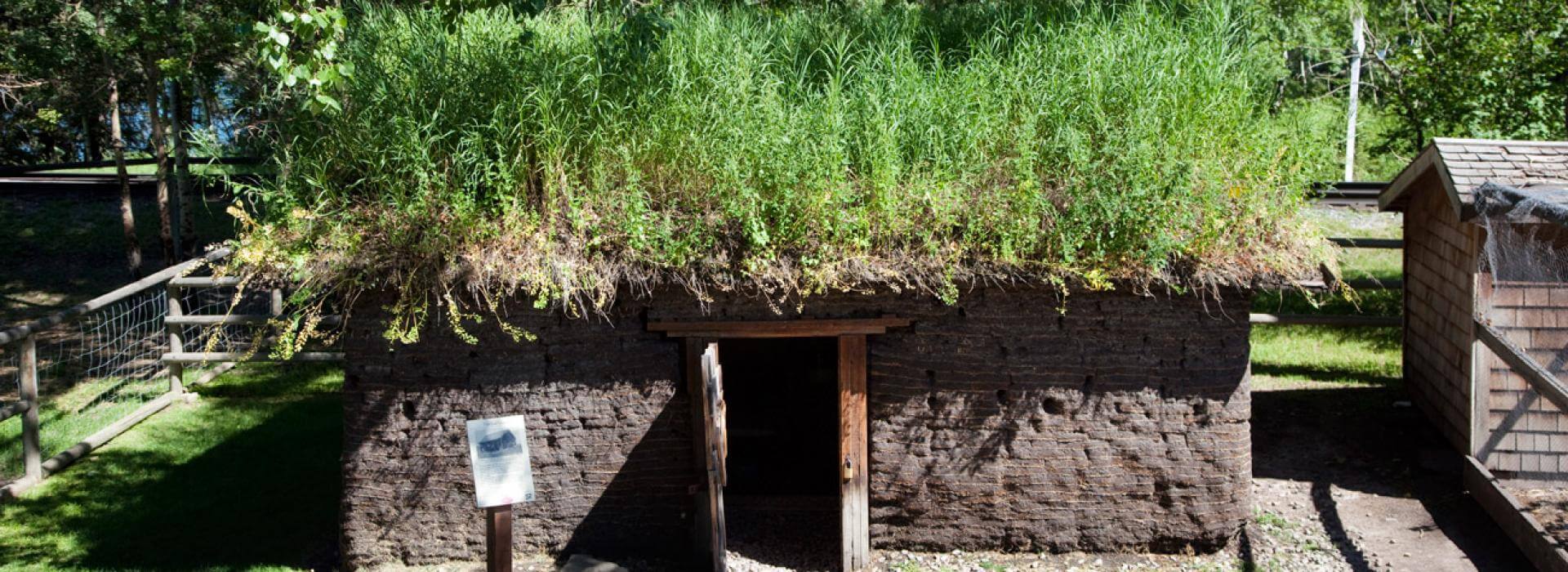small dirt building with grass growing on roof 