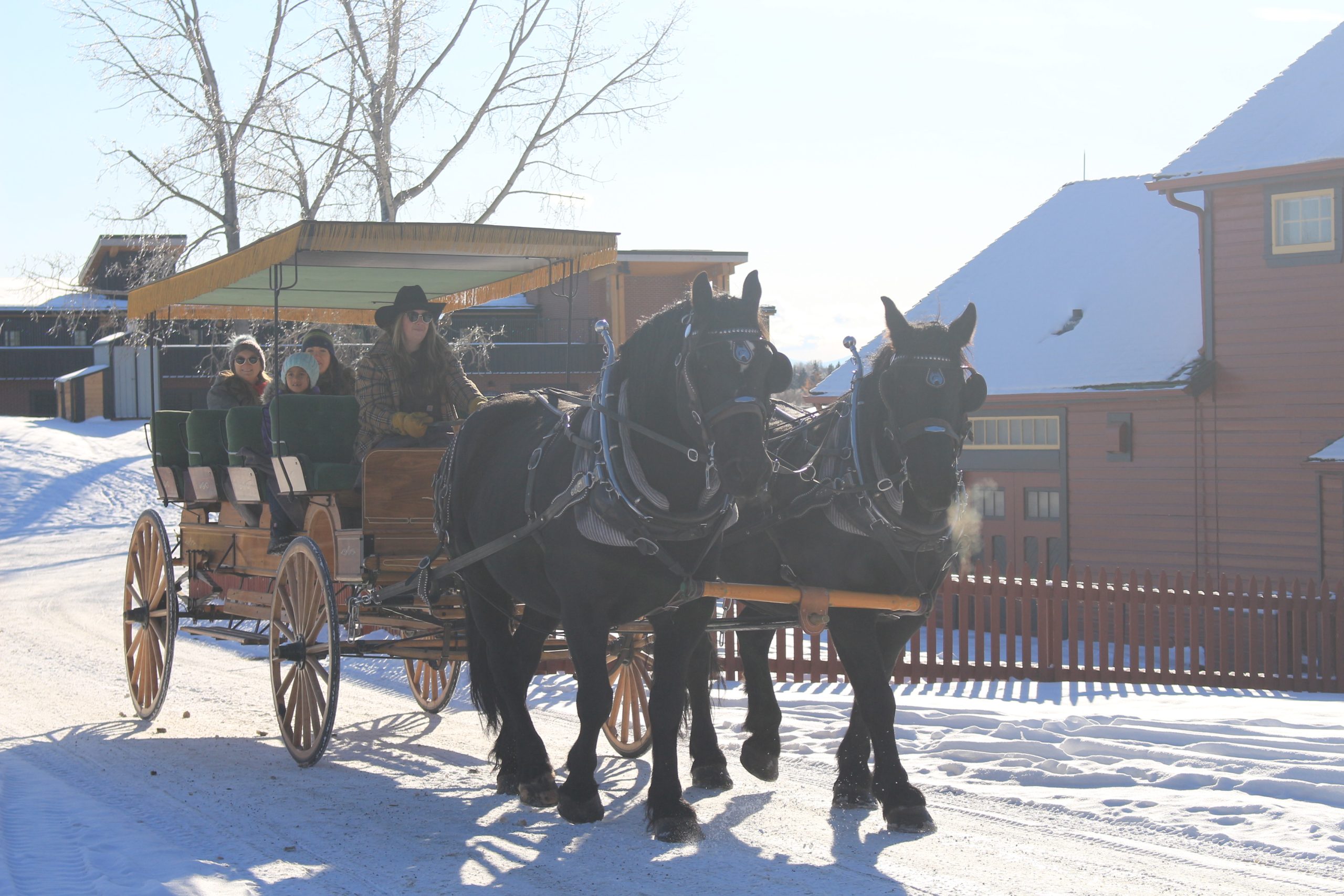 Private Carriage Ride at Heritage Park's Once Upon A Christmas Calgary Family Christmas Event